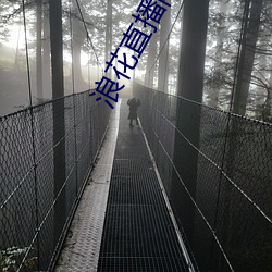 vwinӮ(й) - ٷվ