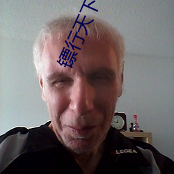 镖行天下前傳全集
