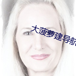 大菠蘿建導航網站