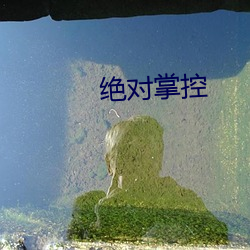 絕對掌控