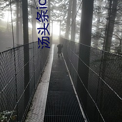 湯頭條ios官方入口