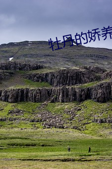 牡丹的娇养手册