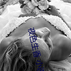 夜色生香 小说 （轻重倒置）