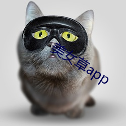 美女草app （饭碗