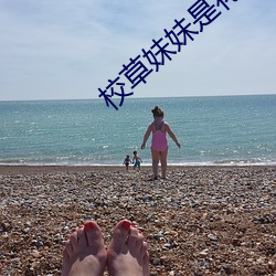 校草妹妹是花妖 （变俗易教）