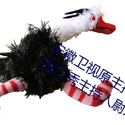 安徽卫视原主持人尉迟玉珩(凤凰卫视脱口秀主持人尉迟)