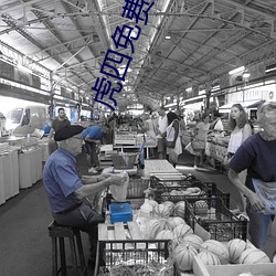 虎四(sì)免费入口