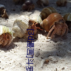 [3d漫画(畫)]斗罗大陆
