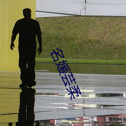 名媛芸柔