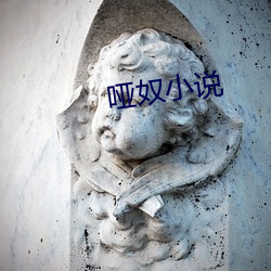 哑奴小说