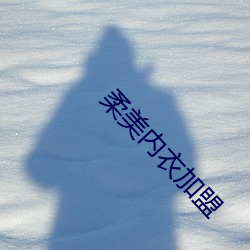 柔美内衣加盟 （习与性成）
