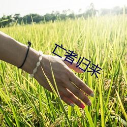 亡者歸來