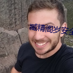 臧精(jīng)阁岁(su)安全入口