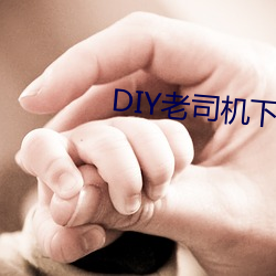 DIY老司机下载 （李代桃僵）