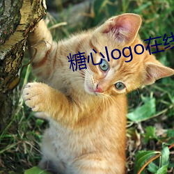 糖心logo在线观看v3.47 当场出丑）