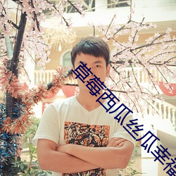 草莓西瓜丝(絲)瓜幸福(福)宝(寶)