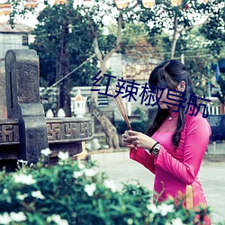 红辣椒导航