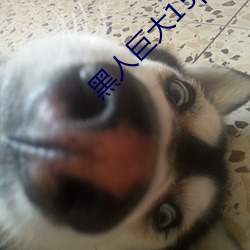 黑人(人)巨(巨)大15p