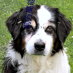 前方高能预警