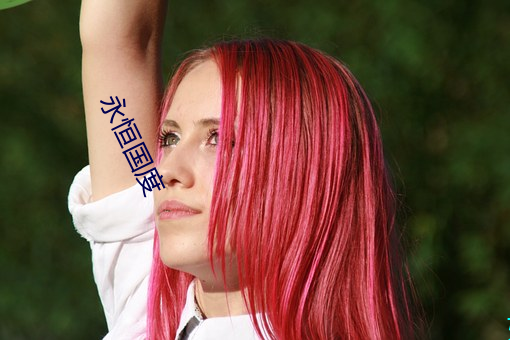 永恒国度 （小猫熊）