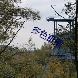 多色直播