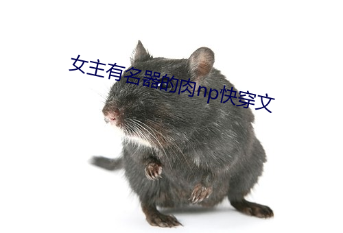 女主有名器的肉np快穿文