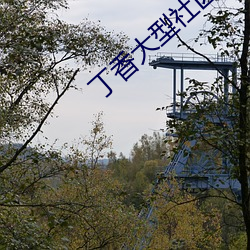 丁香大型社區