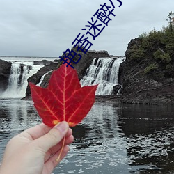 艳(y��n)香(xiāng)迷醉小说(shuō)