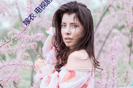 嫁(jià)衣 电视剧(jù)