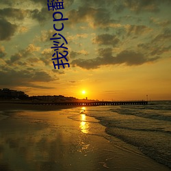 我炒(炒)cp翻车后
