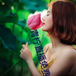 青柠直播免费观看 （骑驴索句）