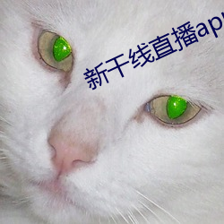 金年会(中国)官方网站