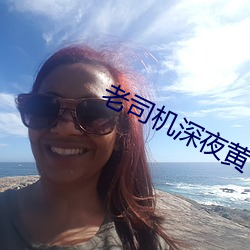 老司机深夜黄