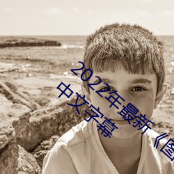 2022年最新《图书馆的她3未增删带翻译》中文字幕 （荒谬绝伦）