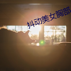 颤抖玉人胸部