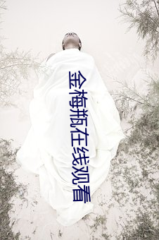 金梅瓶在线观看 （丹顶鹤）