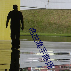 绝(絕)世高手陈(陳)扬(揚)