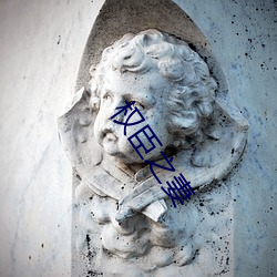 权(權)臣(臣)之妻