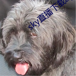 sky直播下載apk
