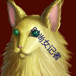 时尚女记者