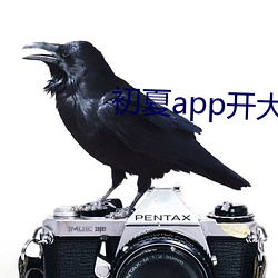 初夏app開大秀