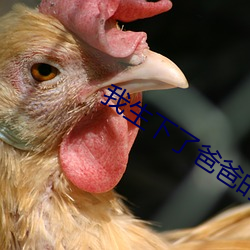 我生下了爸爸的孩子