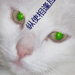 纵(zòng)使相逢应(yīng)不识