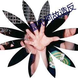 皇兄何故造反