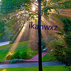 ikanwxz （石蕊）