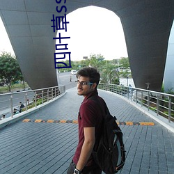 四叶(yè)草sscc66555