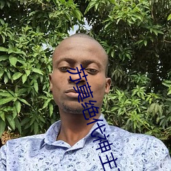 苏莫绝代神主苏莫完(wán)整版