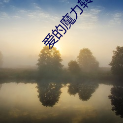 爱的(的)魔力转圈圈小(小)说
