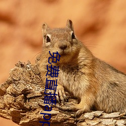 金年会(中国)官方网站