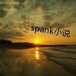 spank小说